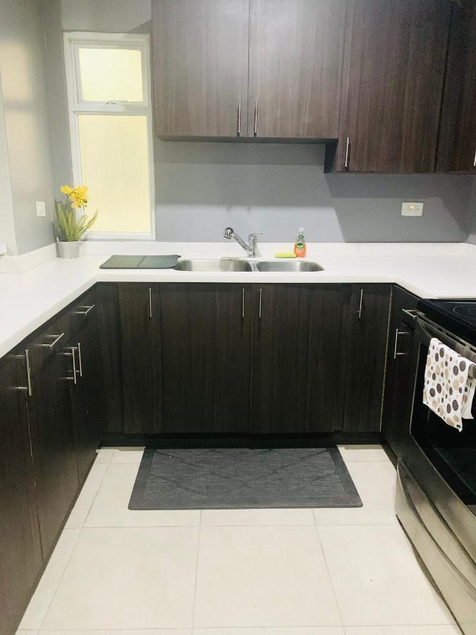 Odyssey On The 5Th - Exquisite Luxury Apt Kingston Zewnętrze zdjęcie