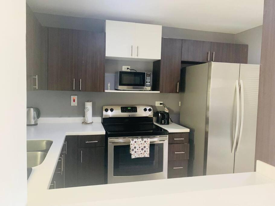 Odyssey On The 5Th - Exquisite Luxury Apt Kingston Zewnętrze zdjęcie