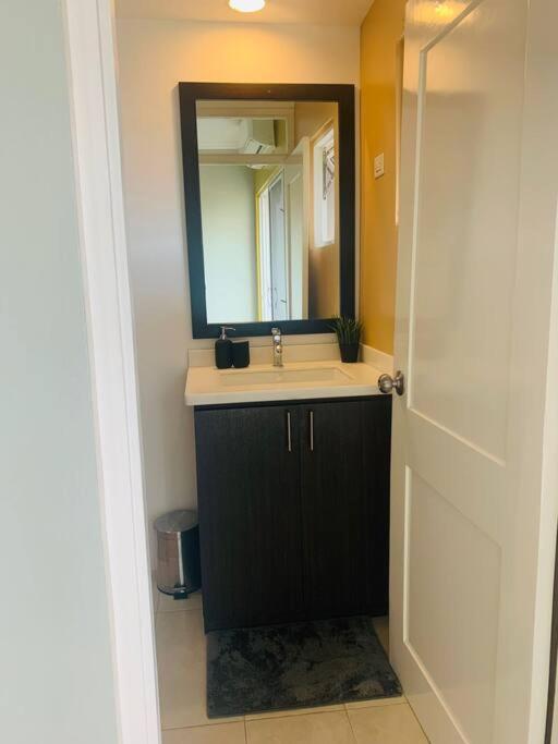 Odyssey On The 5Th - Exquisite Luxury Apt Kingston Zewnętrze zdjęcie
